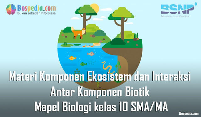 Materi Komponen Ekosistem dan Interaksi Antar Komponen Biotik Mapel Biologi kelas 10 SMA/MA