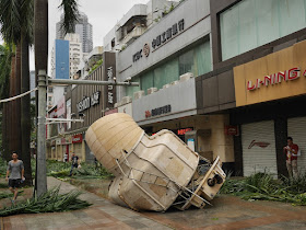 large object which had fallen to the ground
