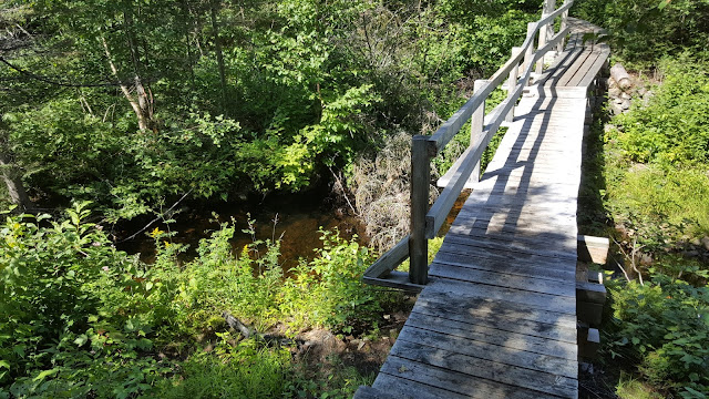 Point de vue à partir du sentier de la Montagne Blanche
