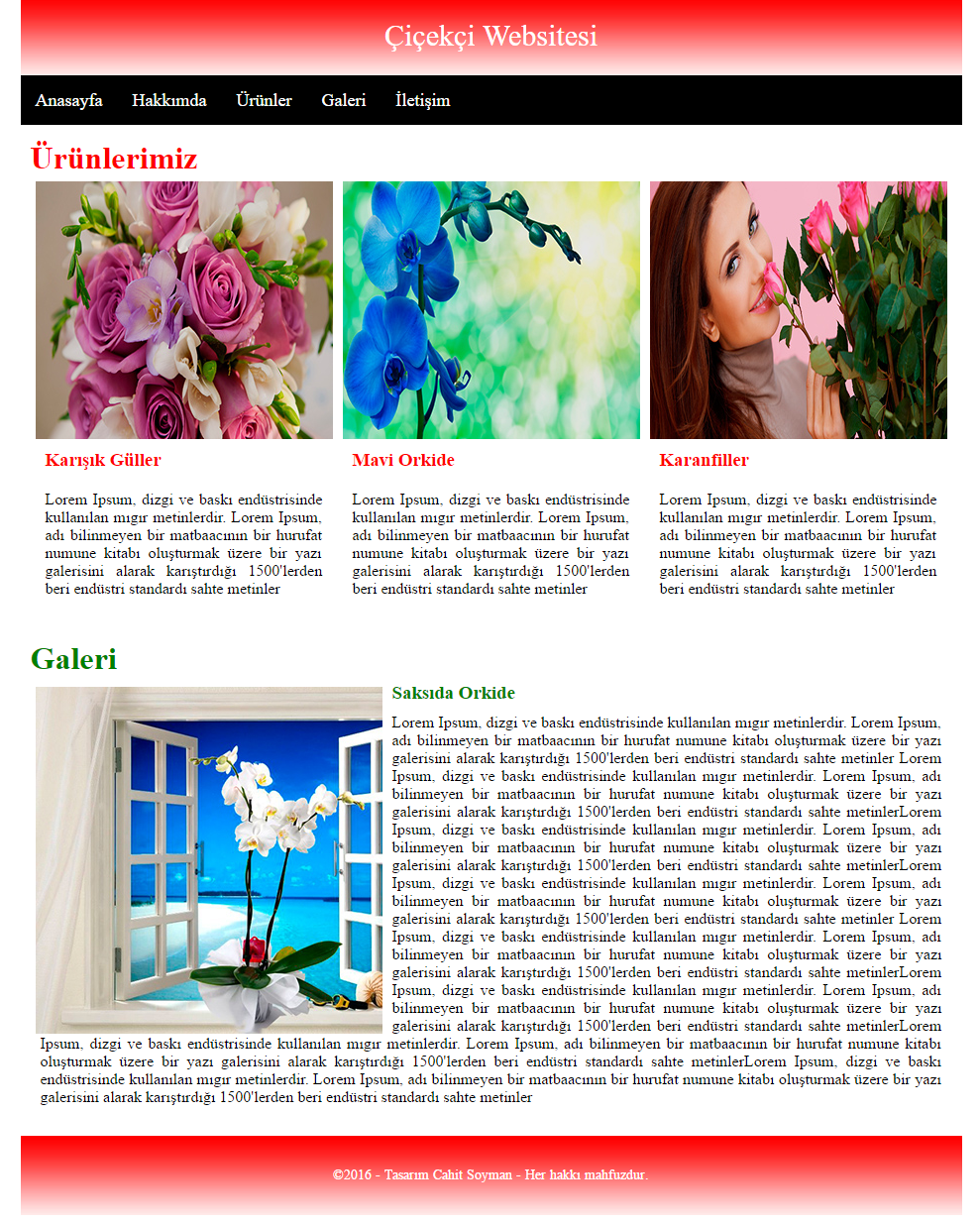 Css Ile Web Sayfasi Olusturma Yazilim Bilisim Programlama