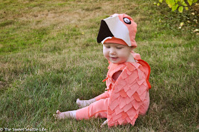 Chris and Sonja - The Sweet Seattle Life: Halloween: Baby Flamingo ...