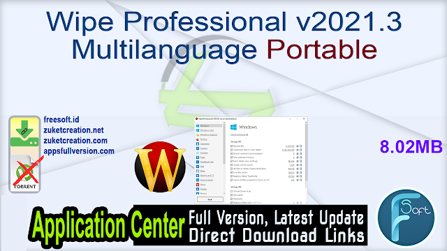 Wipe Professional v2021.3 Multilanguage Portable