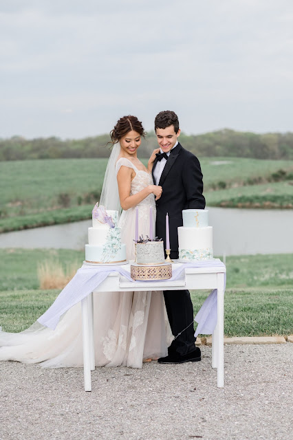 Bridgerton Inspired Whimsical Spring Wedding at Blue Bell Farms | St. Louis Fine Art Wedding Photo & Video