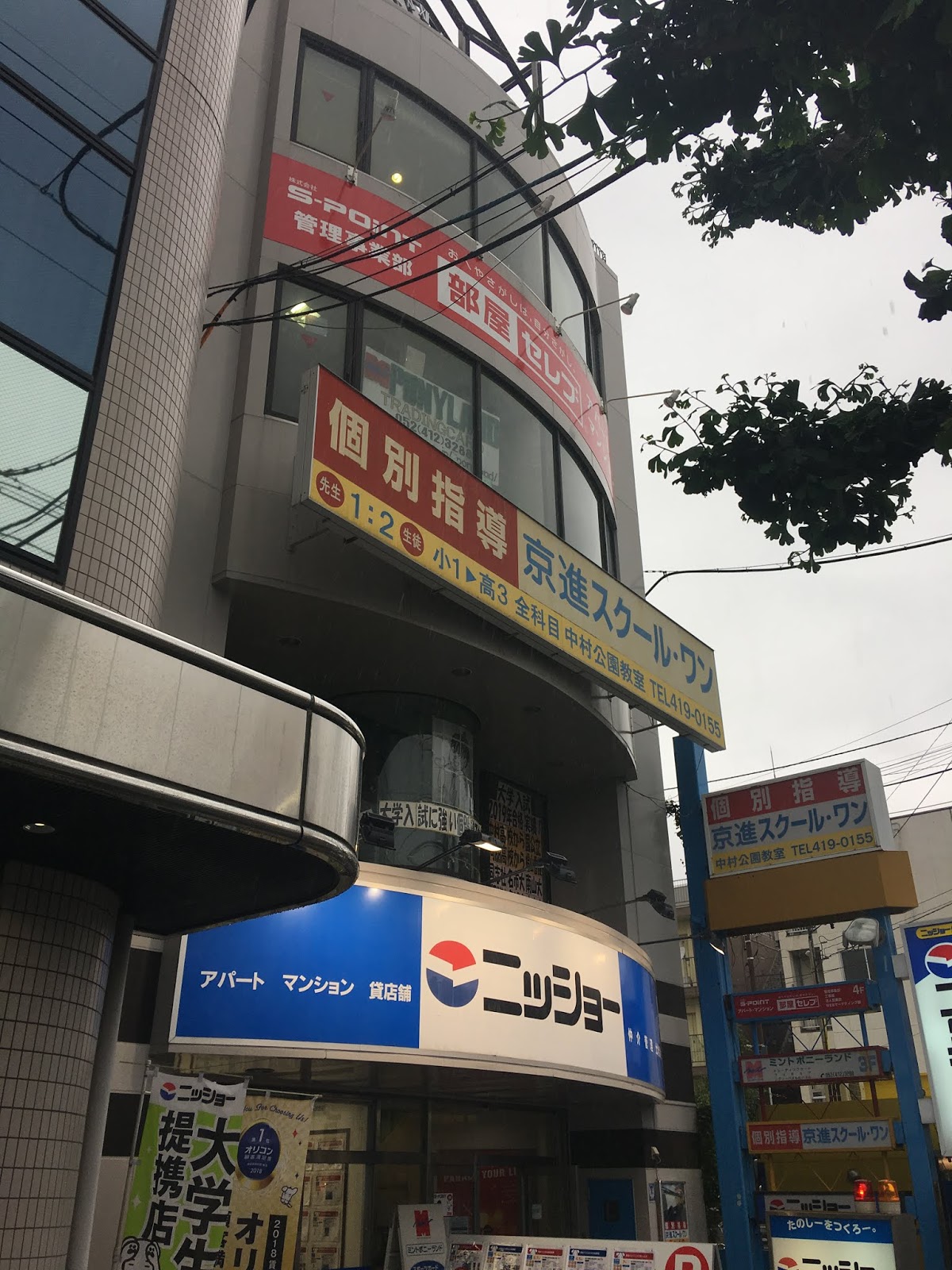 Japanese Baseball Cards Card Shops In Japan Mint Ponyland