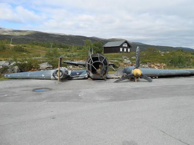 Fiordos Noruegos - Oslo (14 días por nuestra cuenta) Agosto 2013 - Blogs de Noruega - Día 9 (Glaciar Kjenndal, carretera Strynefjell, Geiranger) (7)