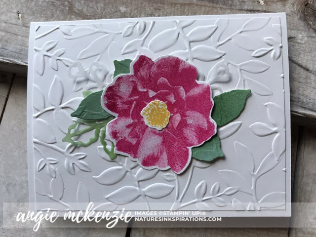 By Angie McKenzie on this Free-for-All Friday; Click READ or VISIT to go to my blog for details! Featuring the To A Wild Rose Stamp Set and Dies, Layered Leaves 3D Embossing Folder; #toawildrosestampset #cleanandsimple #stampinupinks #fauxoxidetechnique #paperscraps #anyoccasioncards #cardtechniques #vellumlayers #stamping 