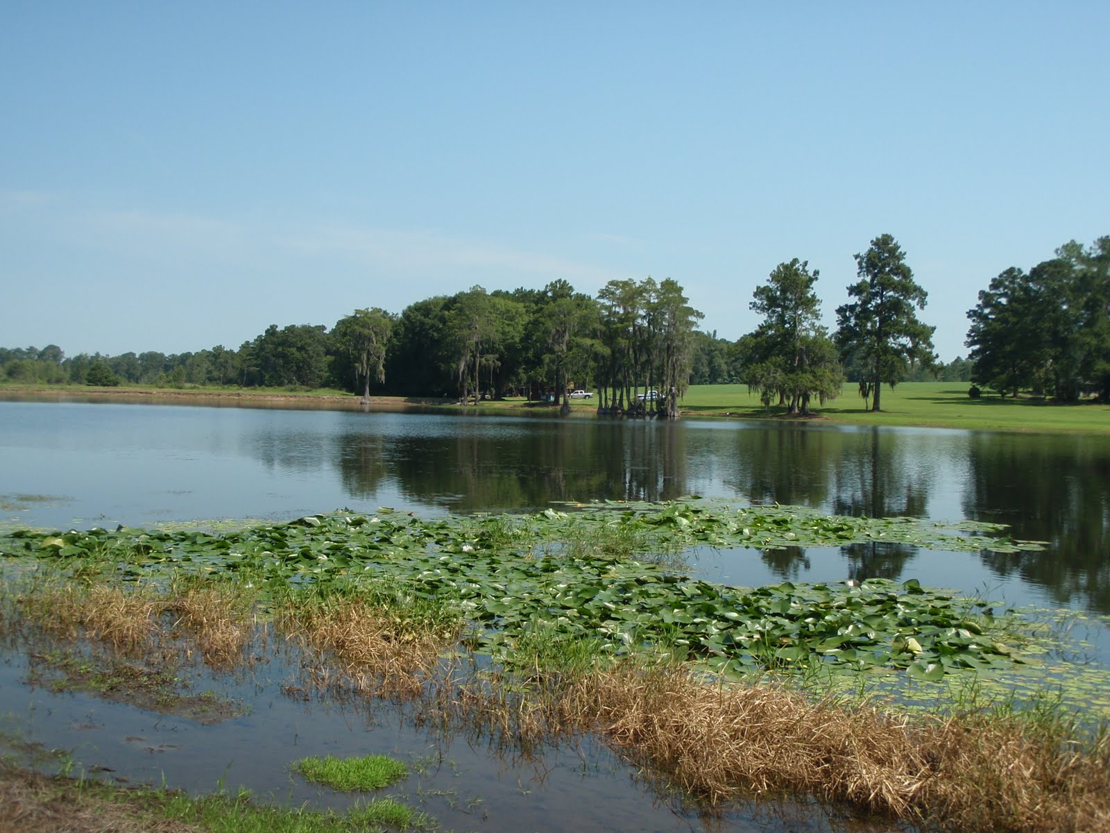 SOUTH KAYAK FISHING Lake Nichols Pavo, GA Brooks County