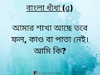 bangla-dhadha-proshno-uttor bangla-dhadha-proshno-uttor