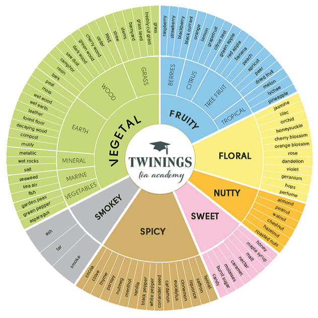 Tea in the ancient world Tea flavor wheels, temperate climate bias