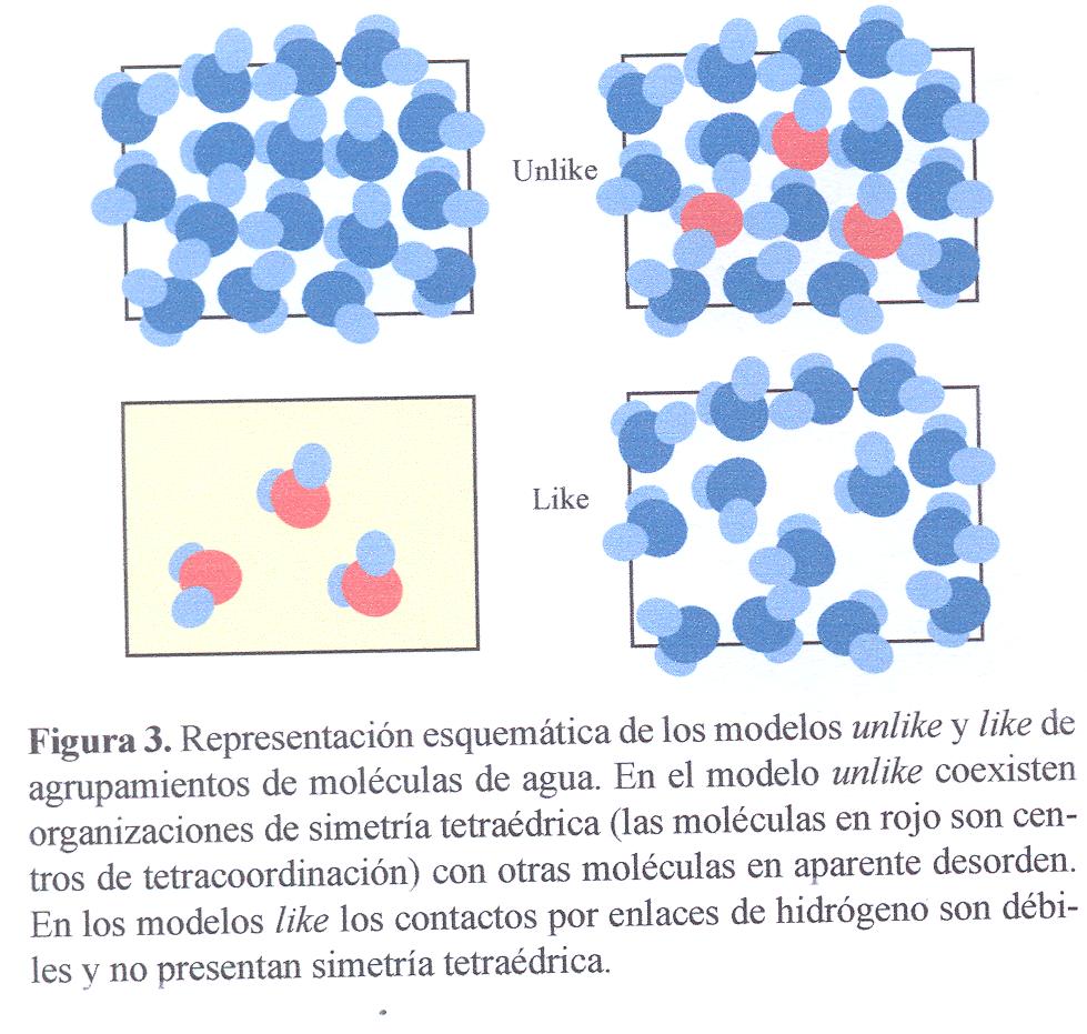 www.huescamedioambiental.es ¿Por qué flota el hielo? Estructuras del agua líquida y sólida www.huescamedioambiental.es ¿Por qué flota el hielo? Estructuras del agua líquida y sólida
