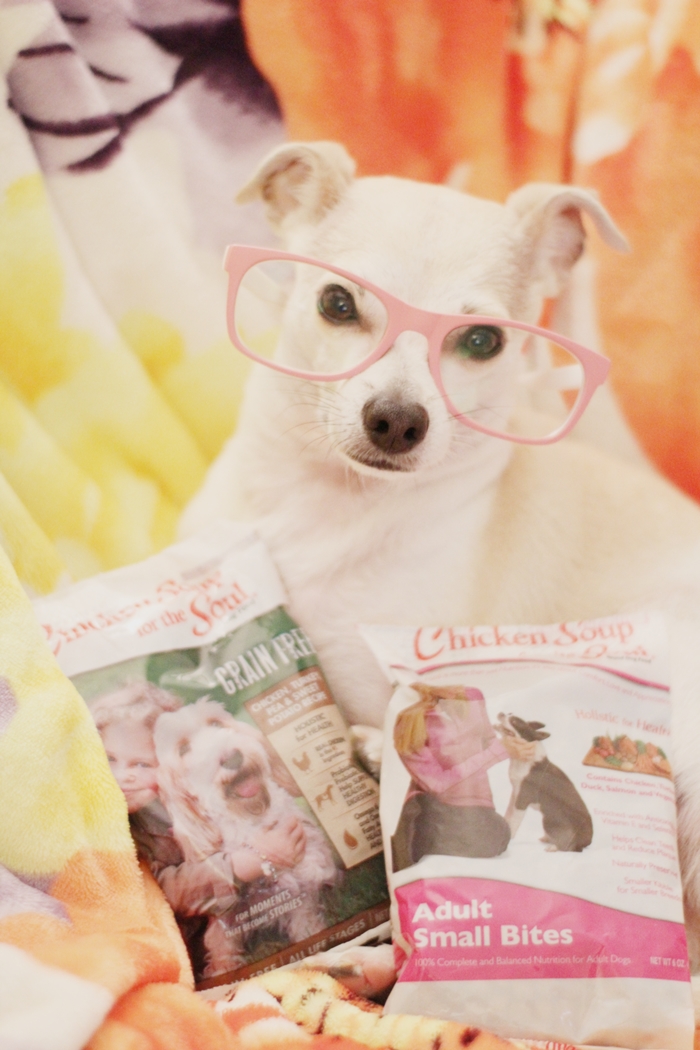 Chicken Soup for the Soul Dog Food Review #MyPetisMyHero