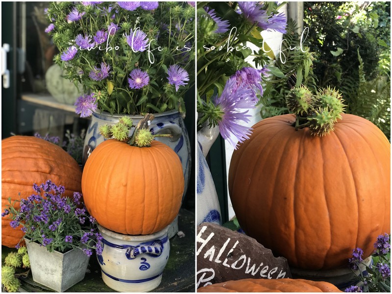 Weltcharts Lahos Welt