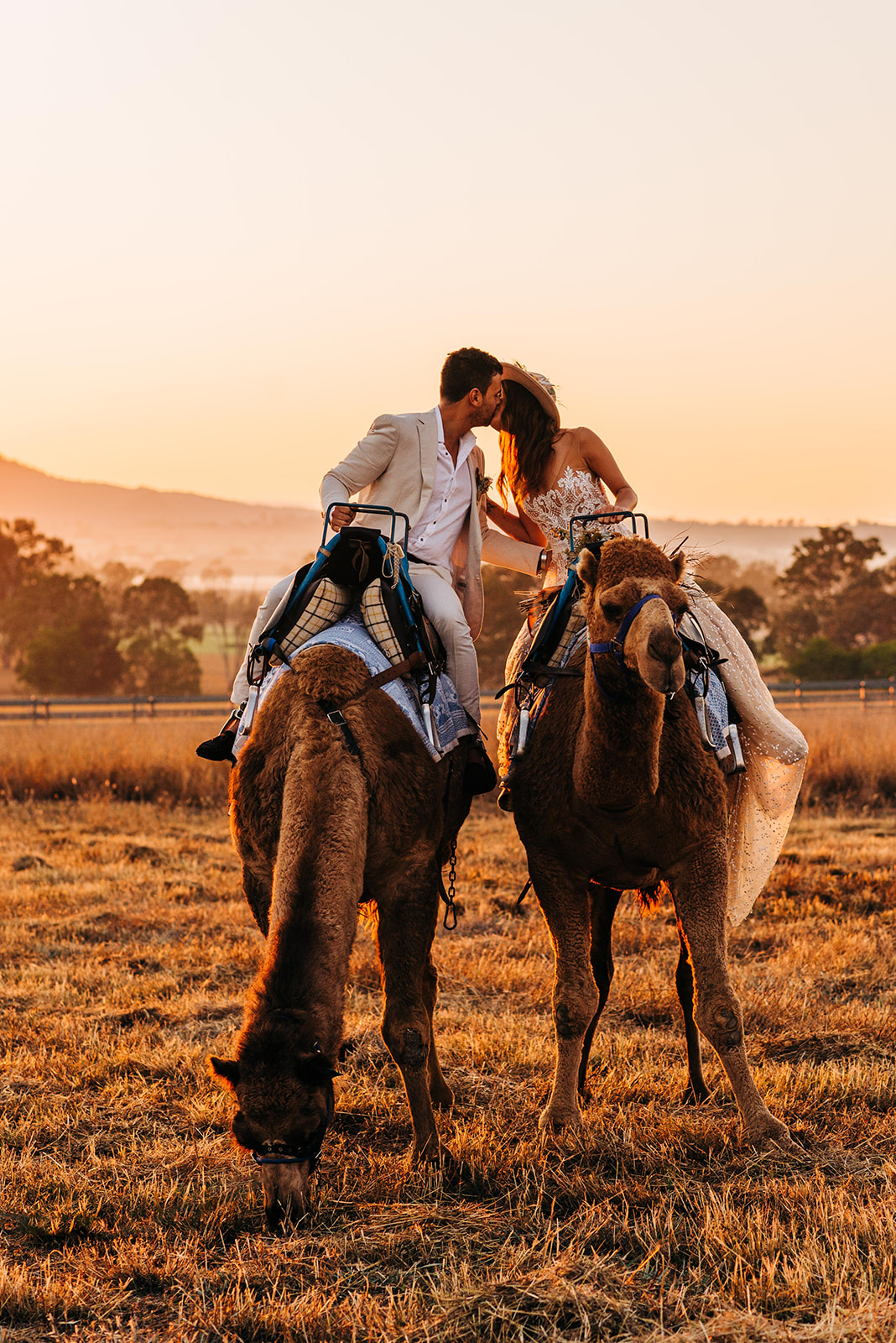 to the aisle australia | champagne at sunrise summer land camels shoot match made photography gold coast weddings country boho floral design cake stationery venue