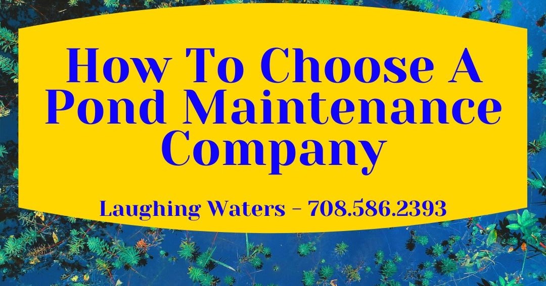 How To Choose A Pond Maintenance Company