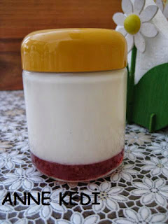 ANNE KEDİ: Ev Yapımı Yoğurt