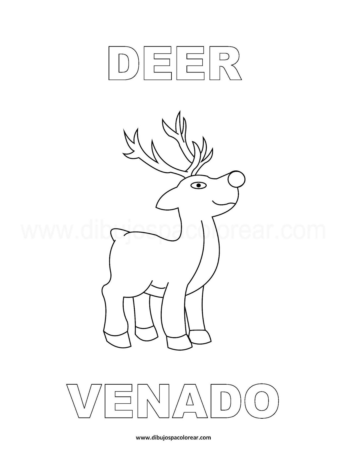 Dibujos Inglés - Español con V: Venado - Deer
