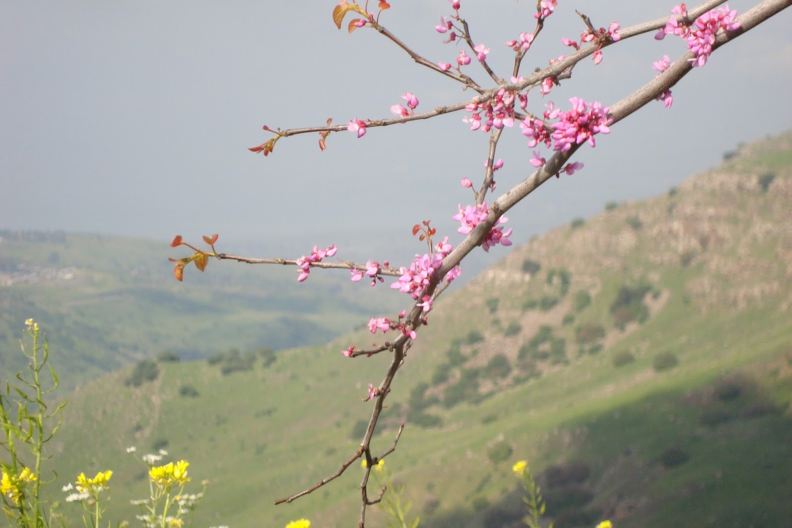 Cathy's Clat'blog Een vrouw op de