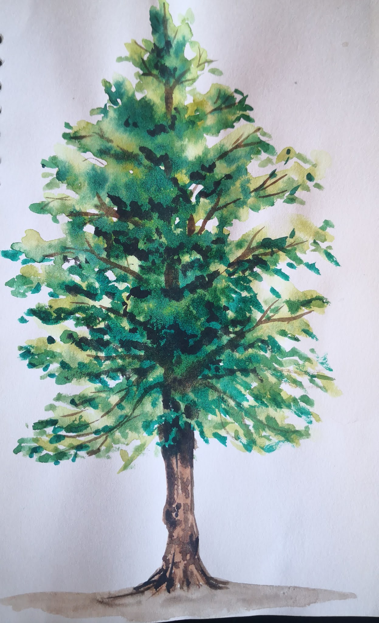 19+watercolor ideas, 4watercolor history, come to see my web