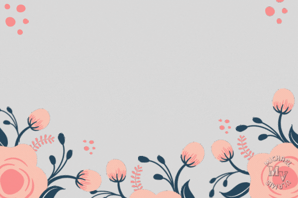 niver.gif