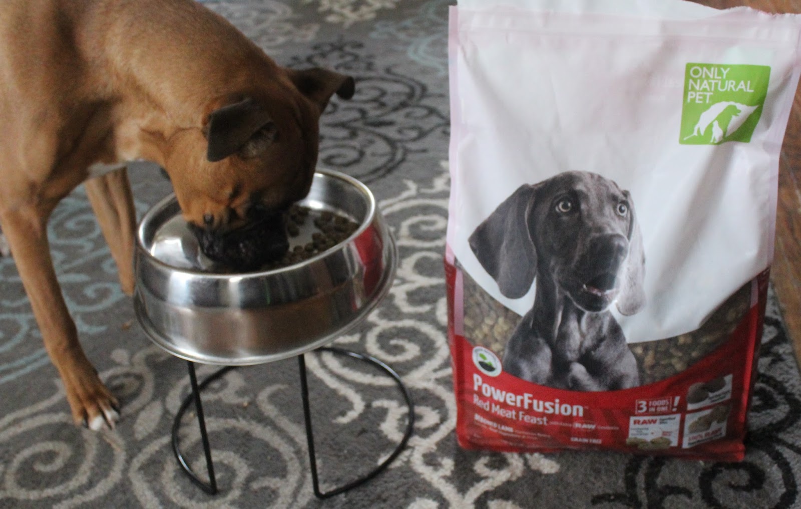 only natural pet powerfusion dog food