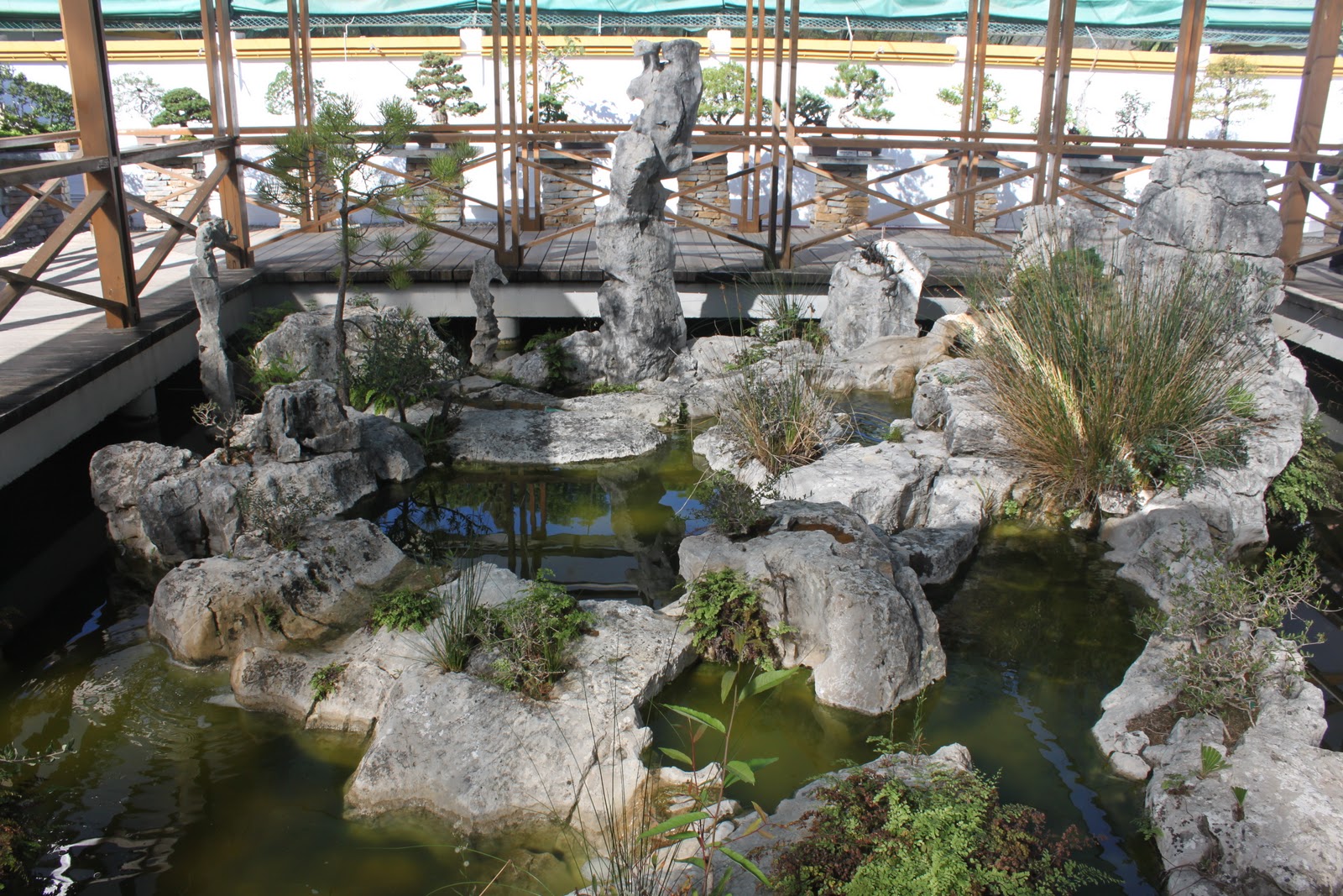 Jardin del Mundo Museo del bonsai de Marbella.