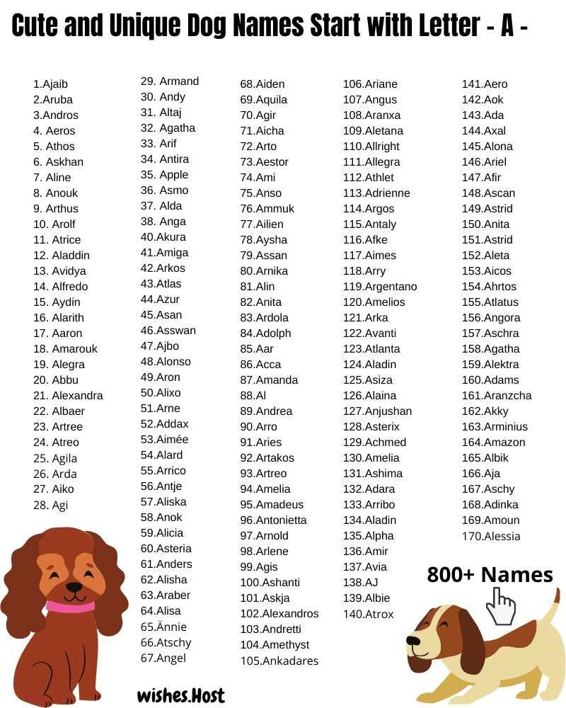 Dog Names That Start with A for Girl and Boy Dog Your Hop