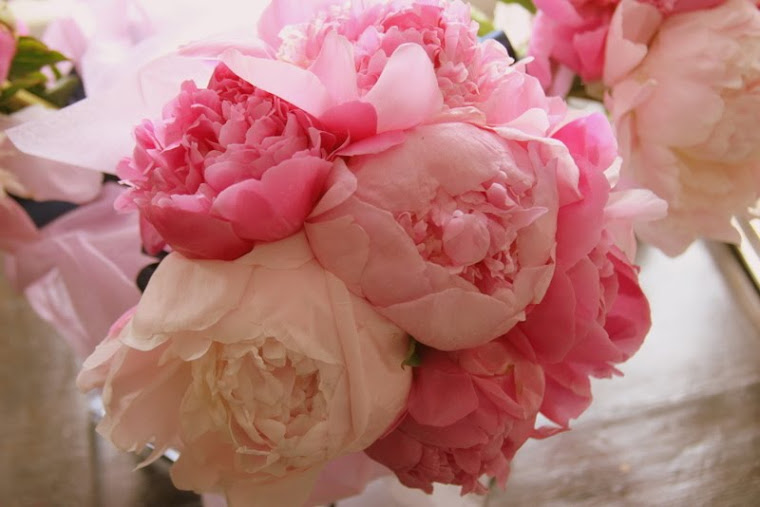 peonies