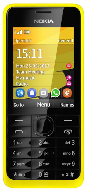 Nokia 301 (One SIM)