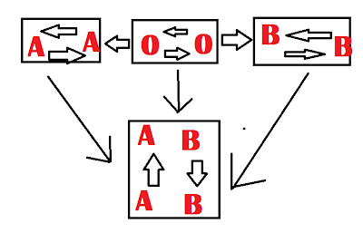 Fungsi Darah/Function Blood FOR ELEMENTARY SCHOOL NATURAL SCIENCE