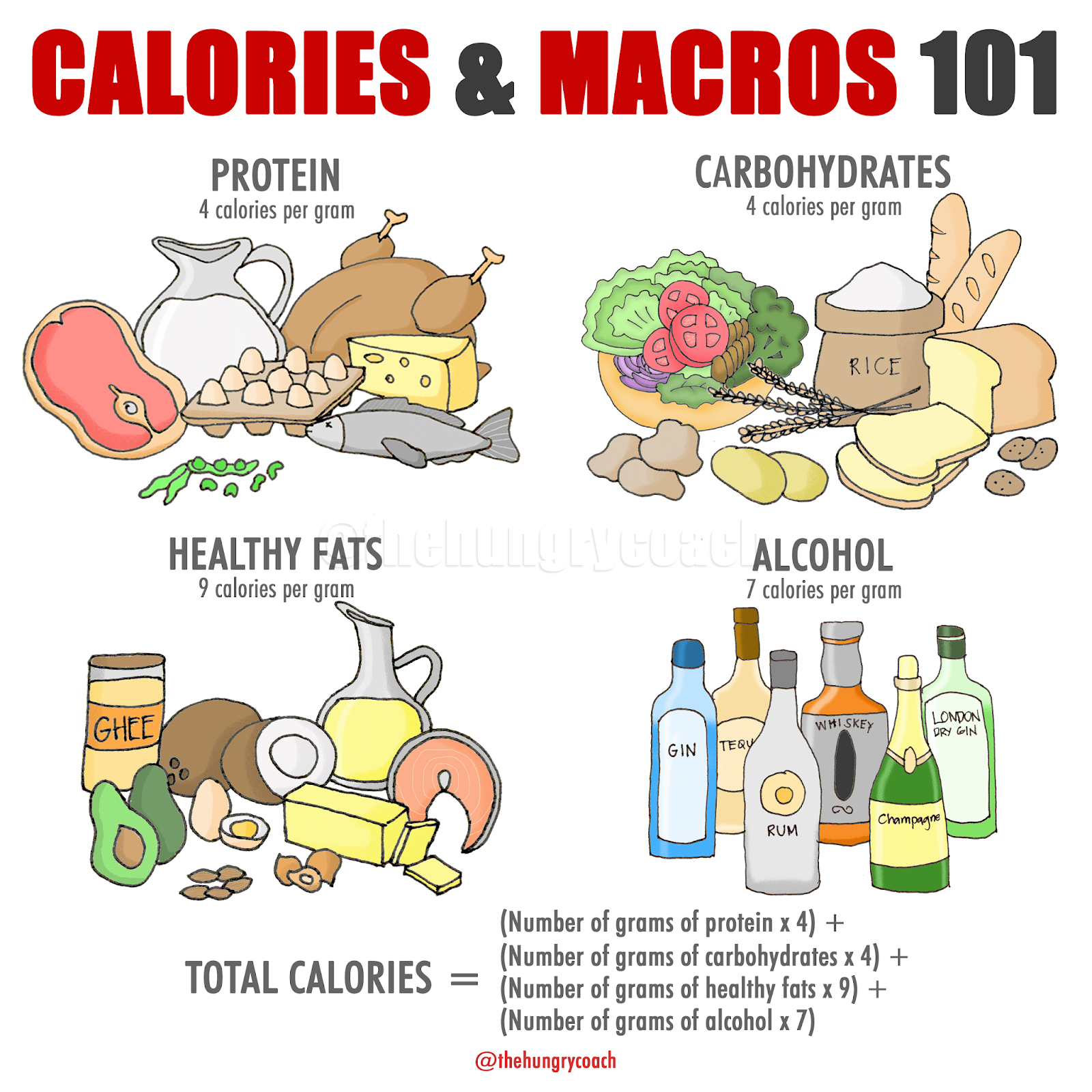 Calories and Macros 101