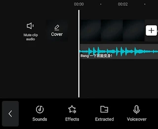 add audio you want to reverse