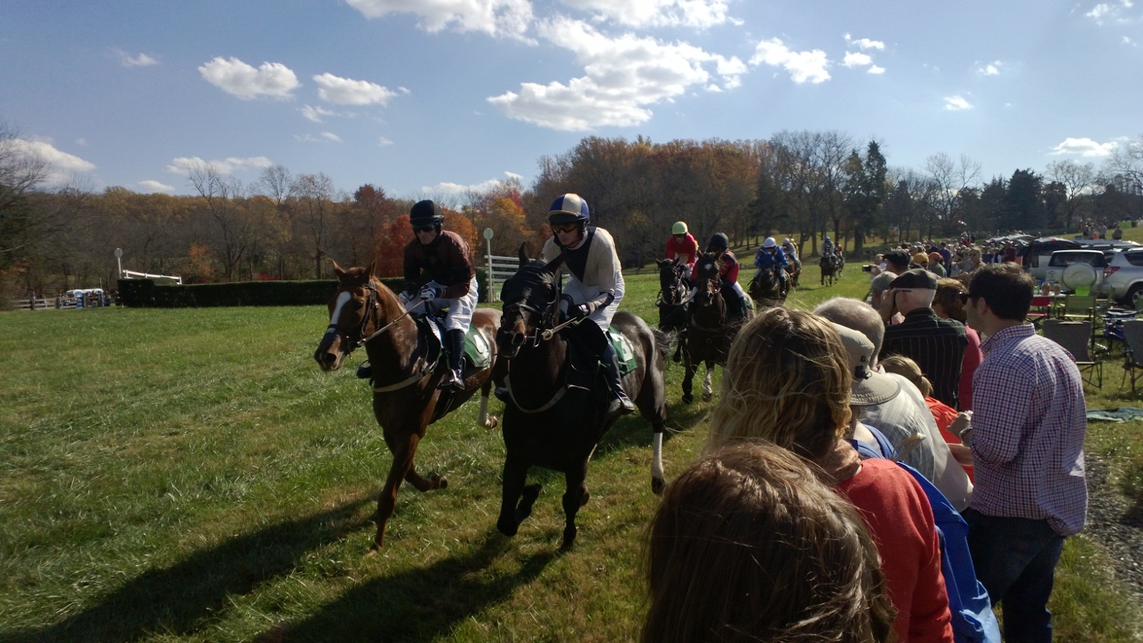Trailer Trad Steeple Chase Weekend Montpelier Races 2013