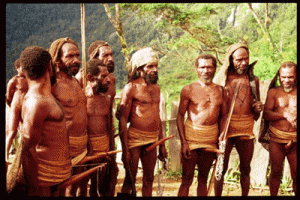 Functionalist perspective of colin turnbulls the forest people essay 08 picture