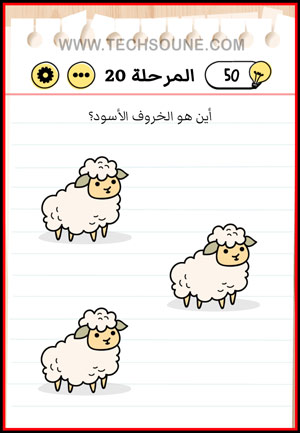 حل Brain Test المستوى 20