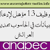 الانابيك: توظيف 13 مؤهل لإدخال البيانات في الحاسوب بمدينة العرائش الانابيك: توظيف 13 مؤهل لإدخال البيانات في الحاسوب بمدينة العرائش