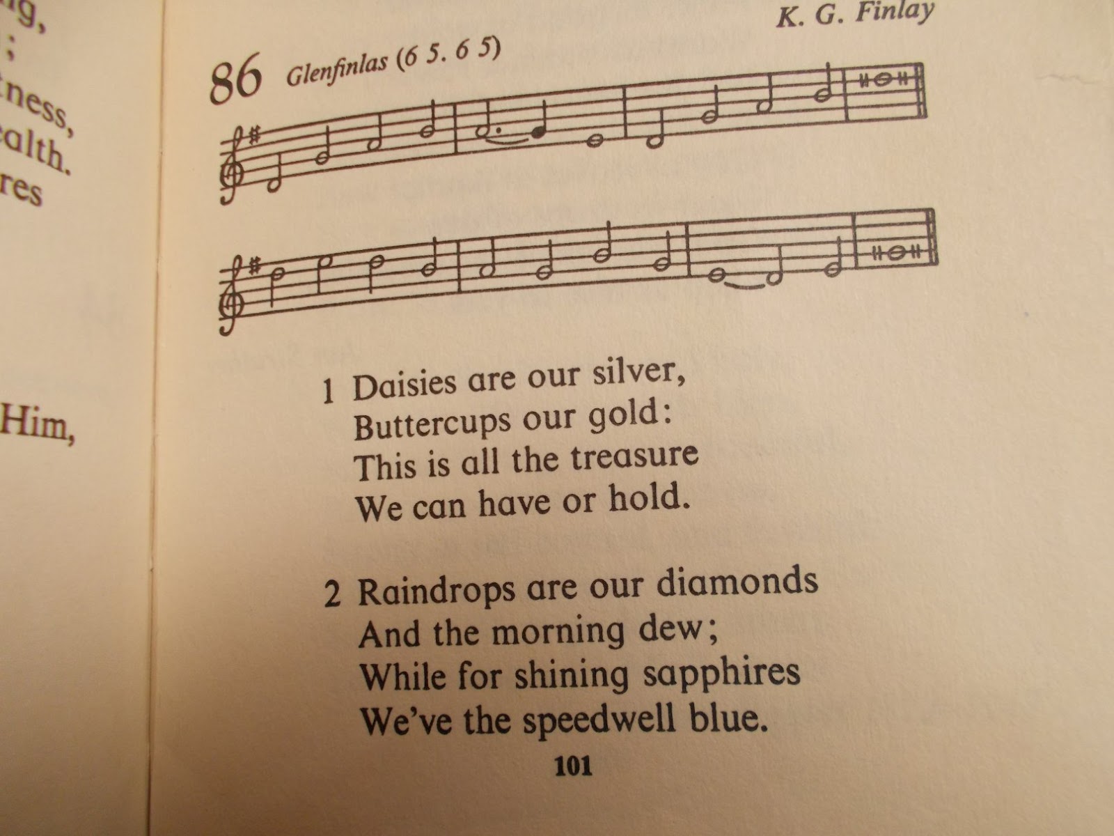 ClothQ Daisies are our silver