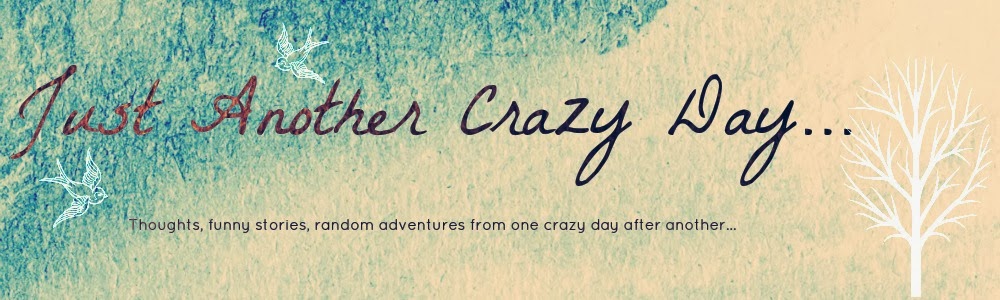 just-another-crazy-day-favorite-quotes