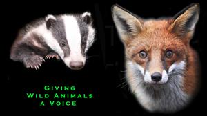 BRIAN MAY'S CAMPAIGN AGAINST ANIMAL CRUELTY