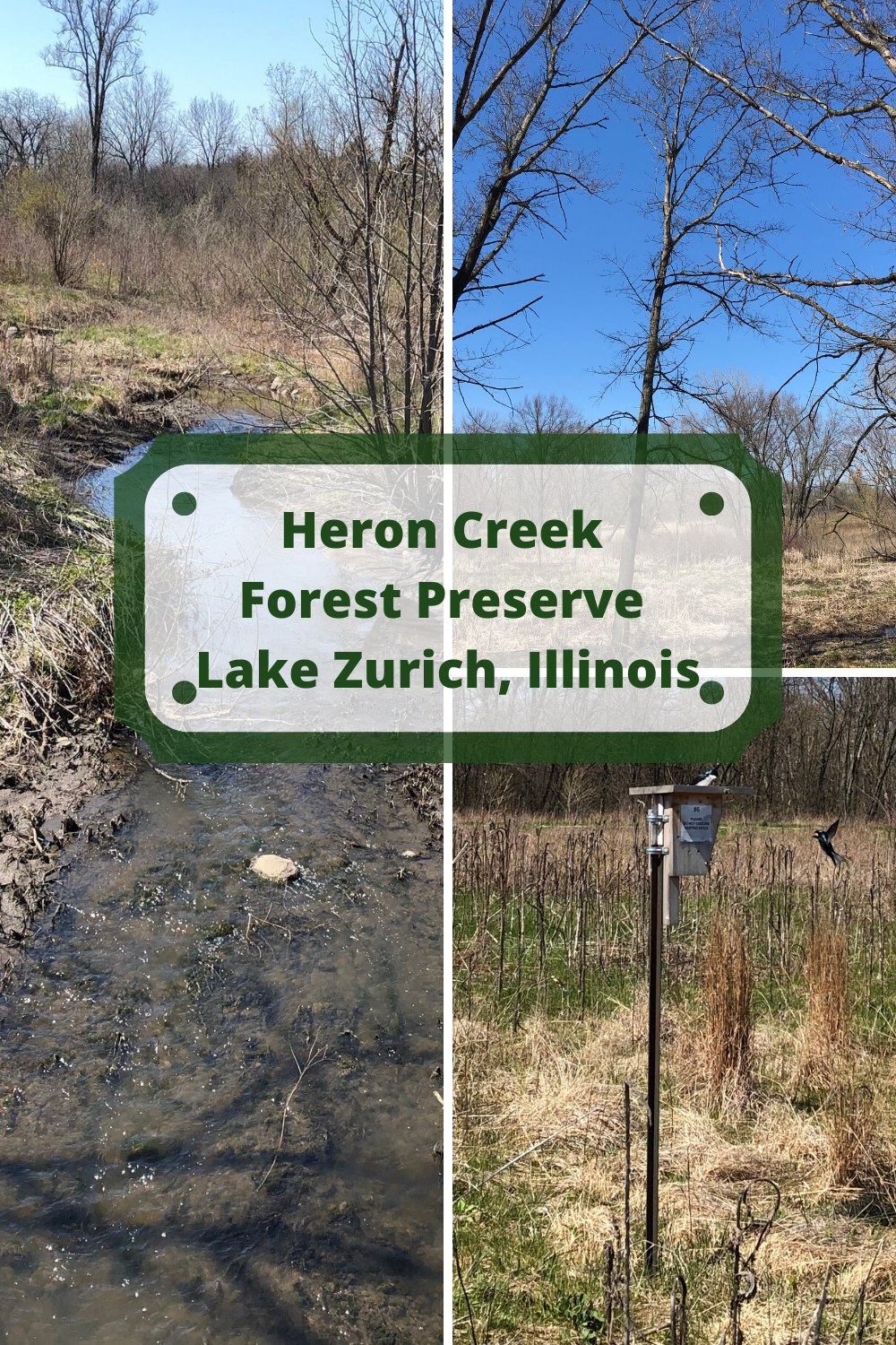 A Little Time and a Keyboard Surrounded by Nature at Heron Creek