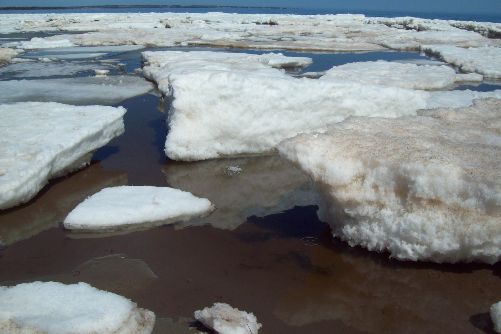 journal illustrations and musings the sound of melting snow...