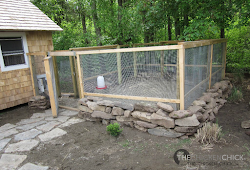 coop chicken chick tour virtual deuce coops oyster dispenser shell below window door built