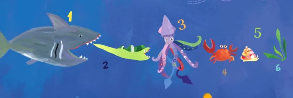 WORKING BEES BLOG: FOOD CHAIN UNDER THE SEA Biology Diagrams