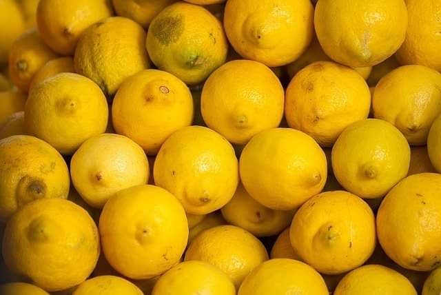 Lemon free wallpaper