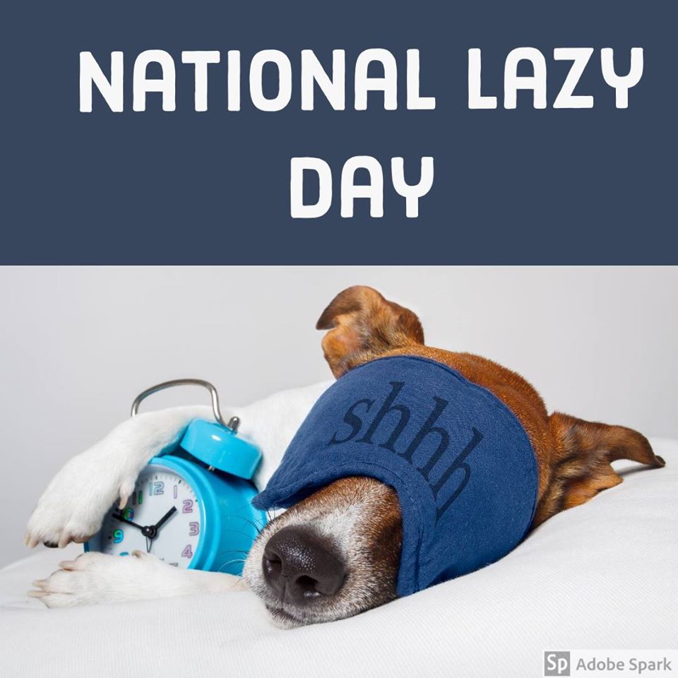 National Lazy Day Wishes Images Whatsapp Images