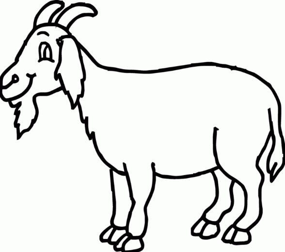 Pengertian Aqiqah dan Hukumnya