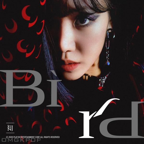 Kim Nam Joo – Bird – Single