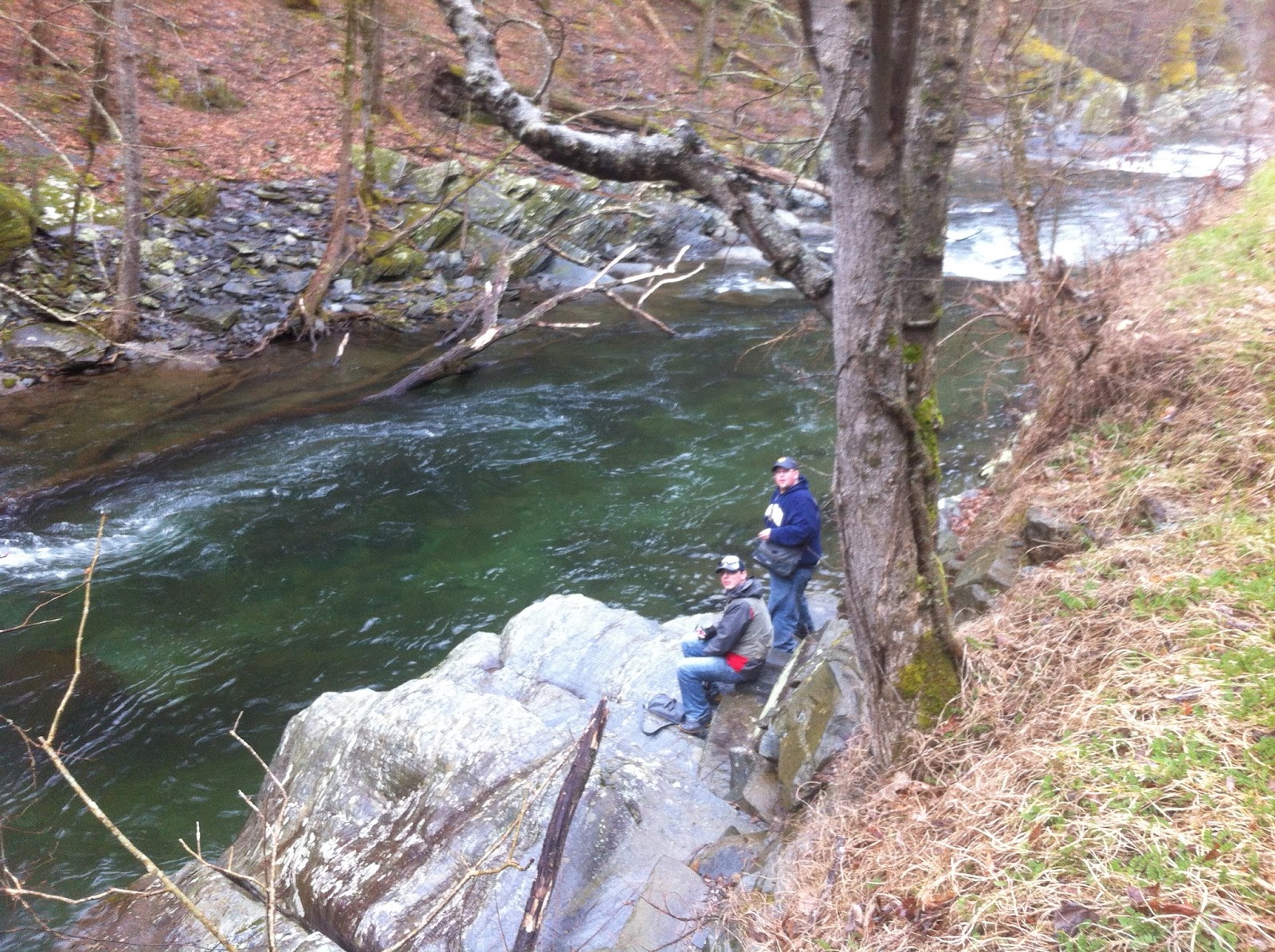 Tellico River Trout Fishing A Tourist Perspective