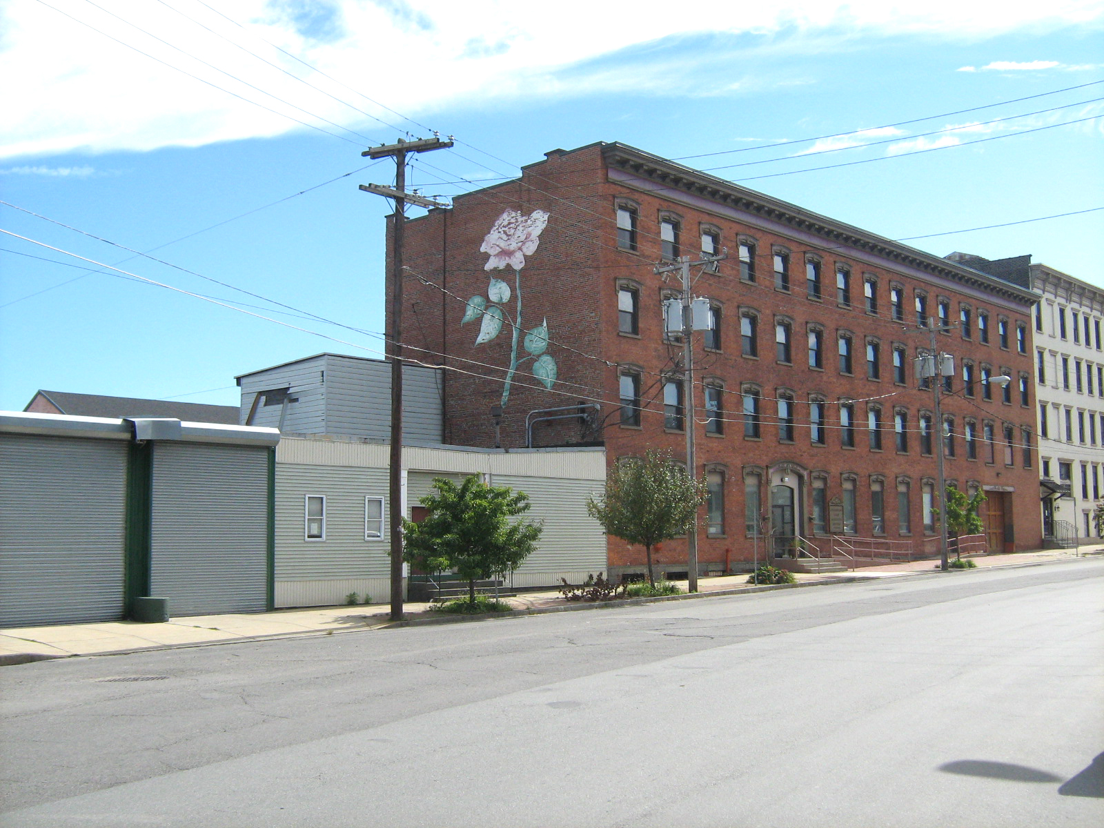 Albany (NY) Daily Photo Rose Over Broadway