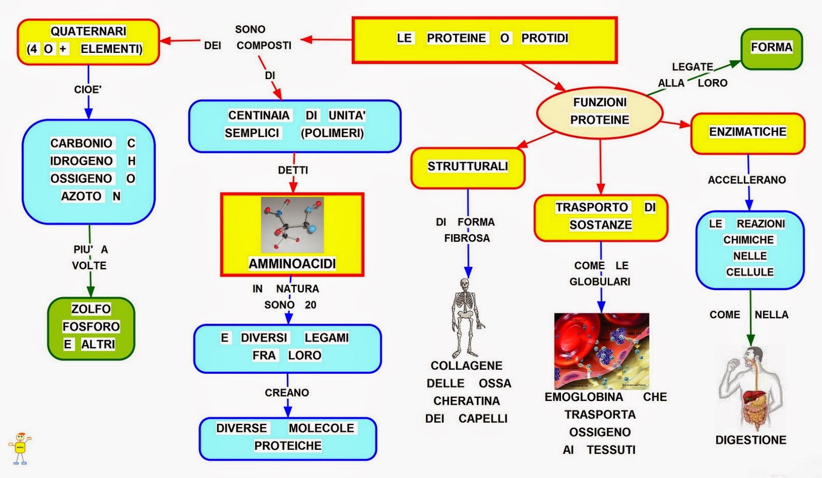 Informazioni utili per un'integrazione alimentare efficace, consapevole e calibrata. Focus LE Informazioni utili per un'integrazione alimentare efficace, consapevole e calibrata. Focus LE