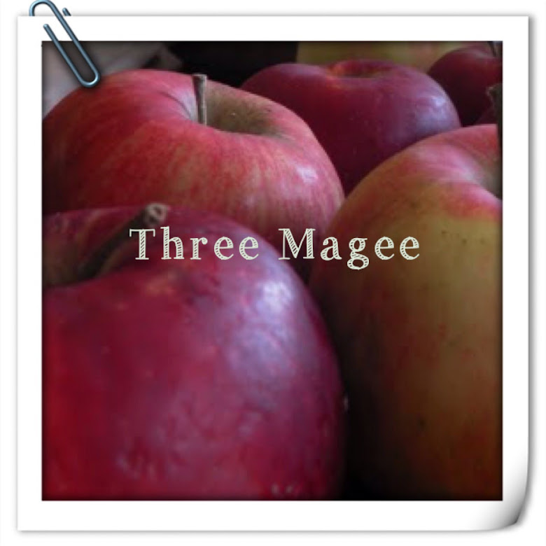 Three Magee